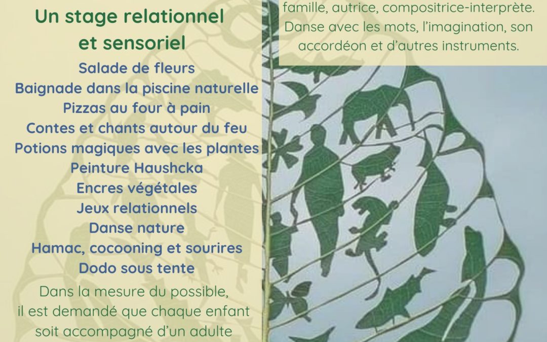 Stages Tribu de 0 à 99 ans