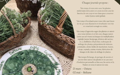 Formation Tisanerie reliée