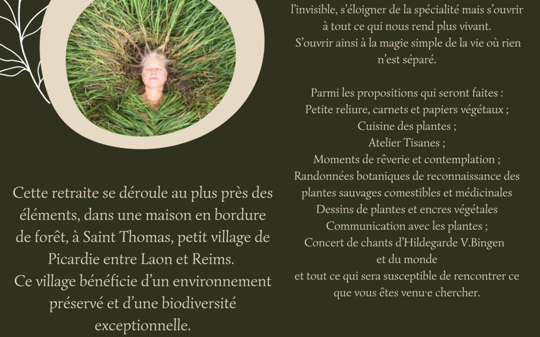 Retraite végétale en été