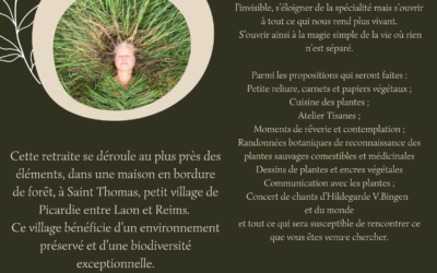 Retraite végétale en été