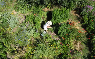 Les ateliers pour les écoles au fil des saisons