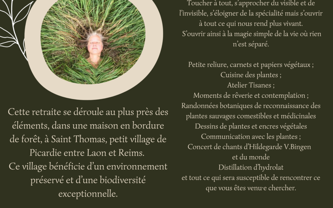 Retraite végétale en été